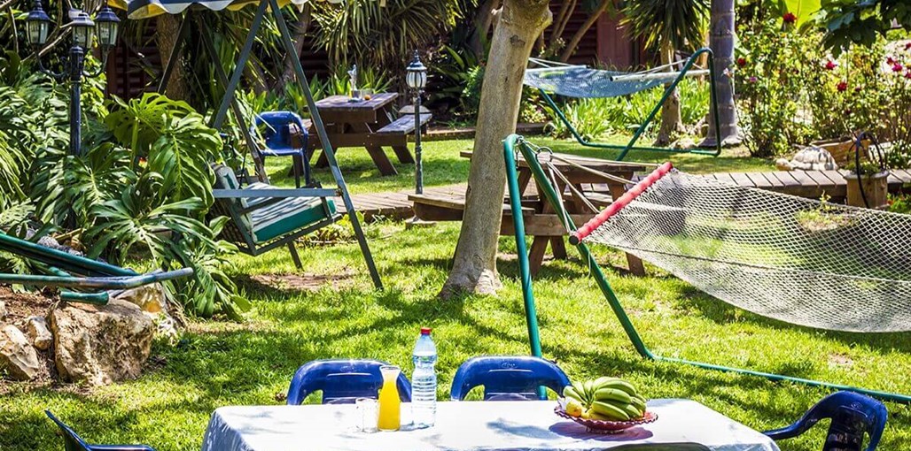 קרן אור בטבע החצר והבריכה (5).jpg