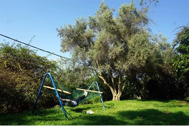 כפר ציפורי לינה כפרית - הנוף והסביבה 