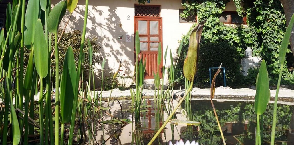 כפר ציפורי לינה כפרית כפר ציפורי לינה כפרית (35).JPG