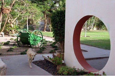 אירוח כפרי בקיבוץ אילות