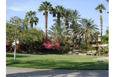 אירוח כפרי בקיבוץ אילות - חדרים זוגיים