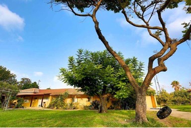 אורחן כפר מסריק - החצר