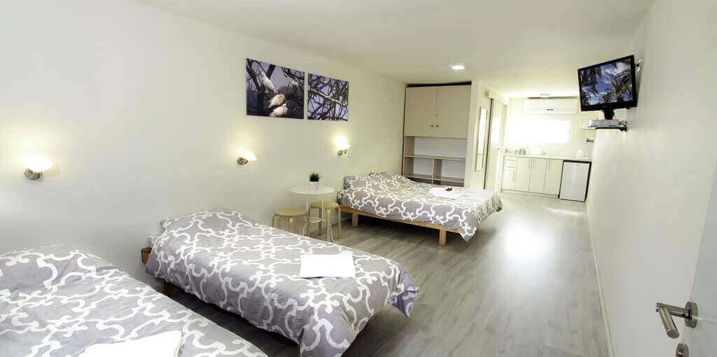 בין עצי התמר חדשות (3).JPG