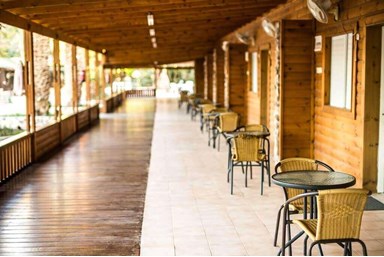 בין עצי התמר - החצר והבריכה