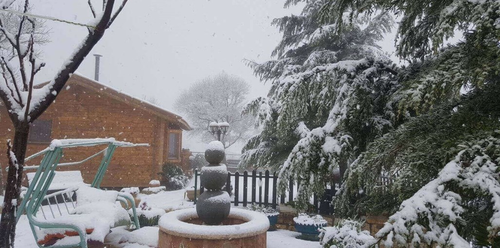 בקתות עץ בהר הארי שלג חדש (9).jpeg