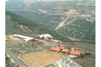 בקתות עץ בהר הארי - אטרקציות בסביבה