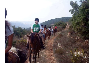 בקתות עץ בהר הארי - אטרקציות בסביבה