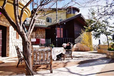 לגעת בשמיים