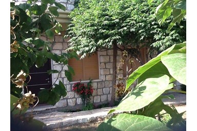 לגעת בשמיים - החצר והנוף