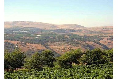 אצולת מילס - החצר והנוף