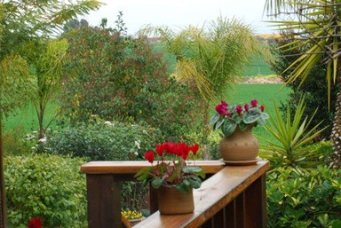 גן עדן | Gan Eden - בקתת עדן ספא