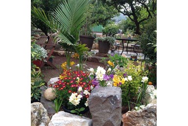 גן עדן | Gan Eden