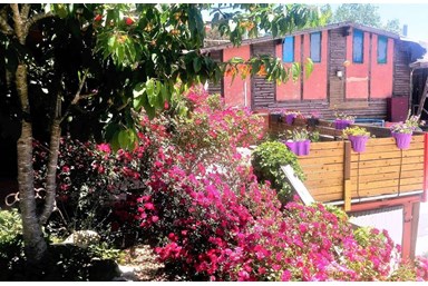 בקתות עץ שיא-הר - בחצר שלנו