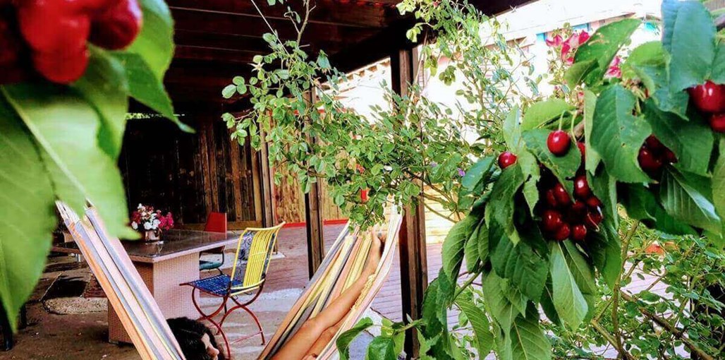 בקתות עץ שיא-הר IMG-20190613-WA0170.jpg