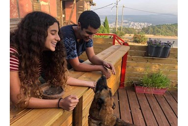 בקתות עץ שיא-הר