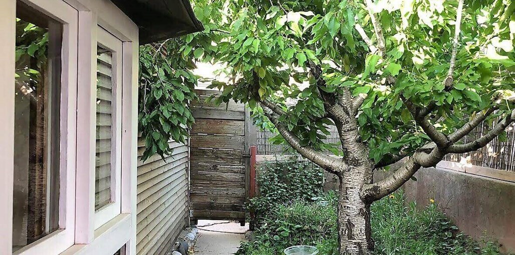 בקתות עץ שיא-הר IMG-20190613-WA0148.jpg