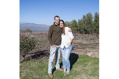 שקט בענן - החצר והנוף