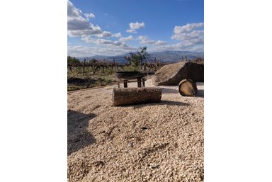 שקט בענן - סוויטת אדית