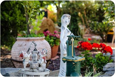 קוצ'ה אירוח בכפר - חצר ונוף