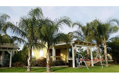 בקתה בגבעה - החצר והבריכה