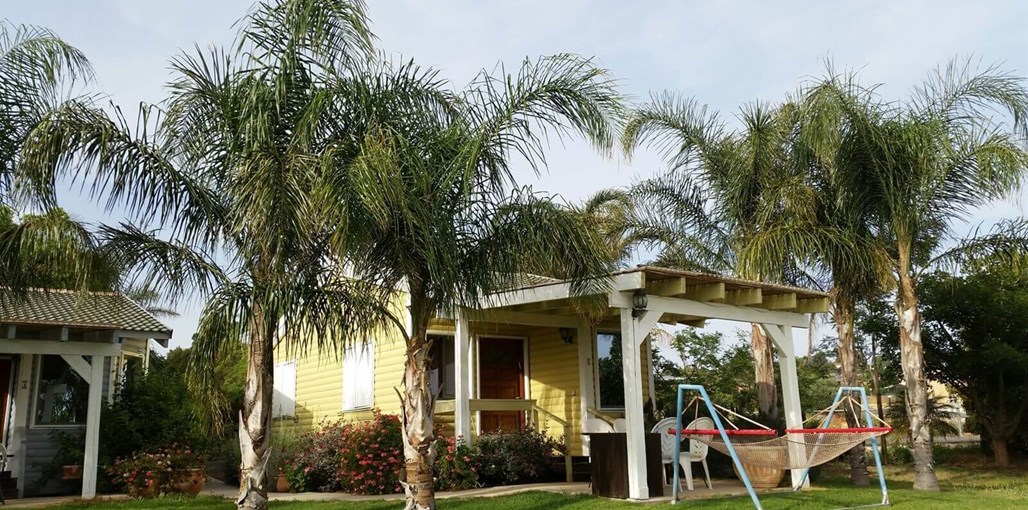 בקתה בגבעה החצר והבריכה (12).jpg