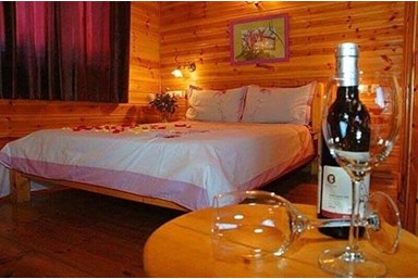 בקתה בגבעה - החצר והבריכה