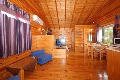 בקתה בגבעה - החצר והבריכה