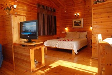 בקתה בגבעה - החצר והבריכה