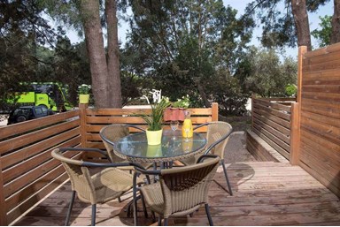 קיבוץ דליה, זהר בדשא - יחידות רגבים