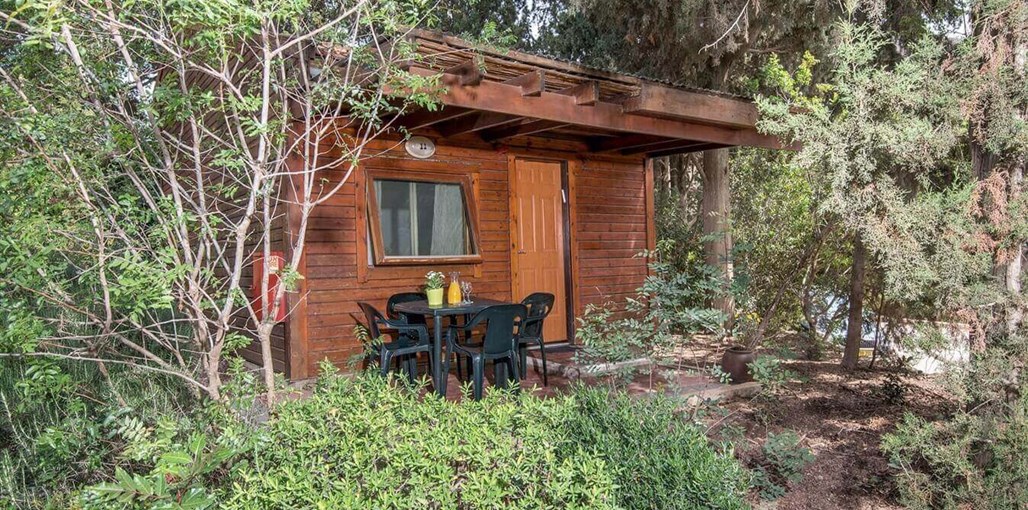 קיבוץ דליה - זהר בדשא חורש (9).jpg