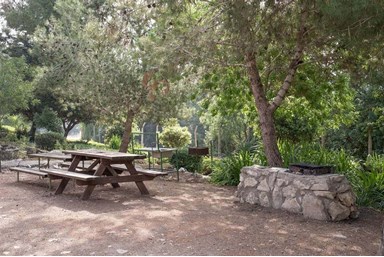 קיבוץ דליה, זהר בדשא - יחידות חורש