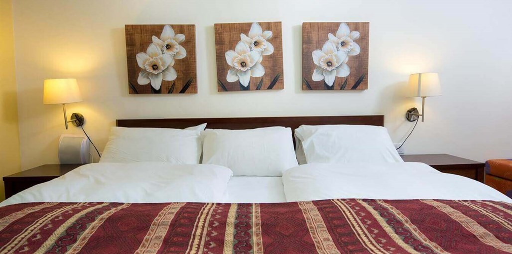 קיבוץ דליה - זהר בדשא נופים (1).jpg