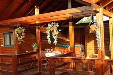 בצל התומר - החצר והבריכה