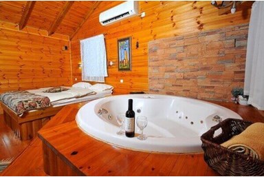 בצל התומר - תאנה