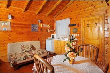 בצל התומר - תאנה