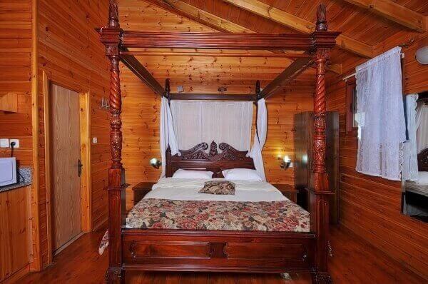 בצל התומר רימון (1).jpg