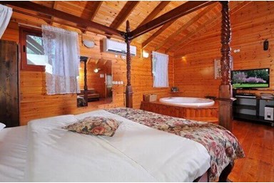 בצל התומר - רימון