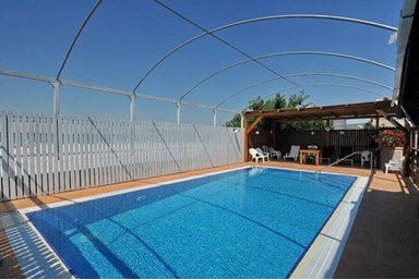 בצל התומר - החצר והבריכה