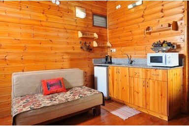 בצל התומר - רימון