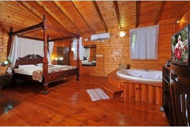 בצל התומר - רימון