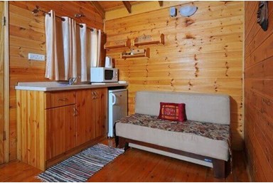 בצל התומר - פקאן