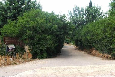 בקתות נחל דישון - מרפסות הגן והחצר