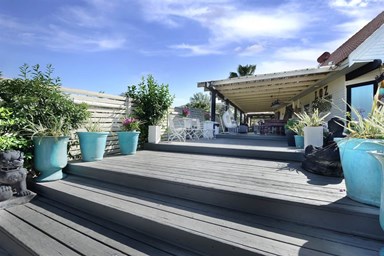 לוז כנרת - החצר והבריכה