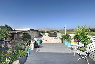 לוז כנרת - החצר והבריכה