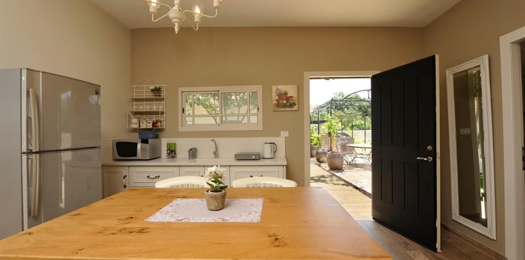 לוז כנרת C (2).jpg