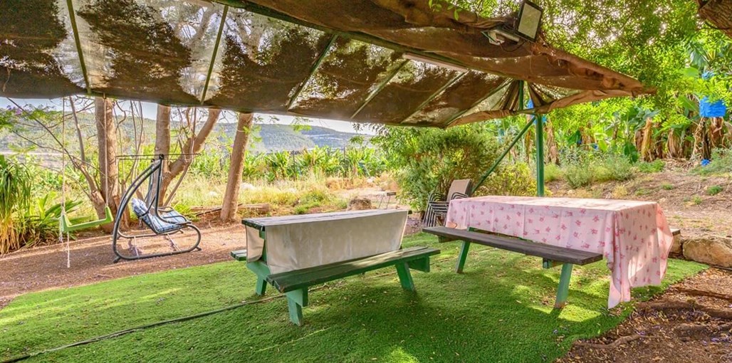 בננריק החצר (8).jpg