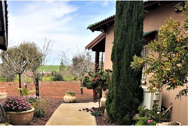 הבית של מיכל - החצר