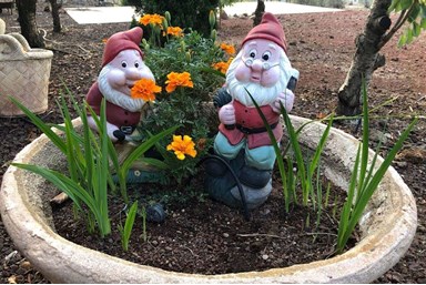 הבית של מיכל