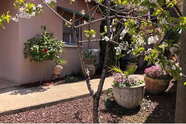 הבית של מיכל - החצר