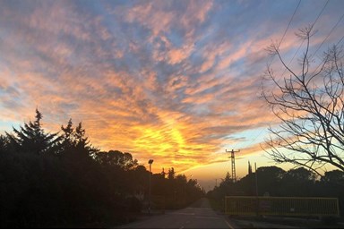 הבית של מיכל - החצר